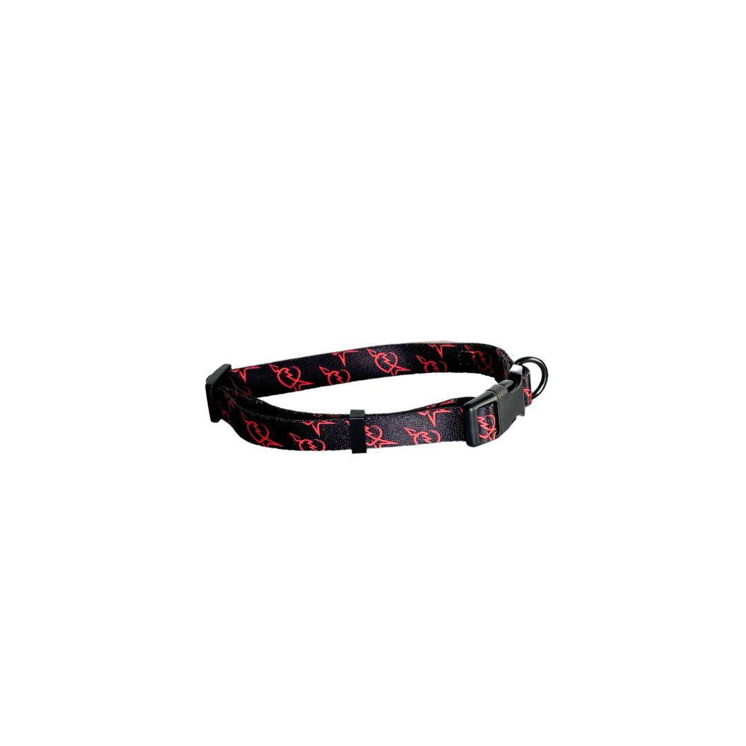 40th Anniversary Logo Dog Collar