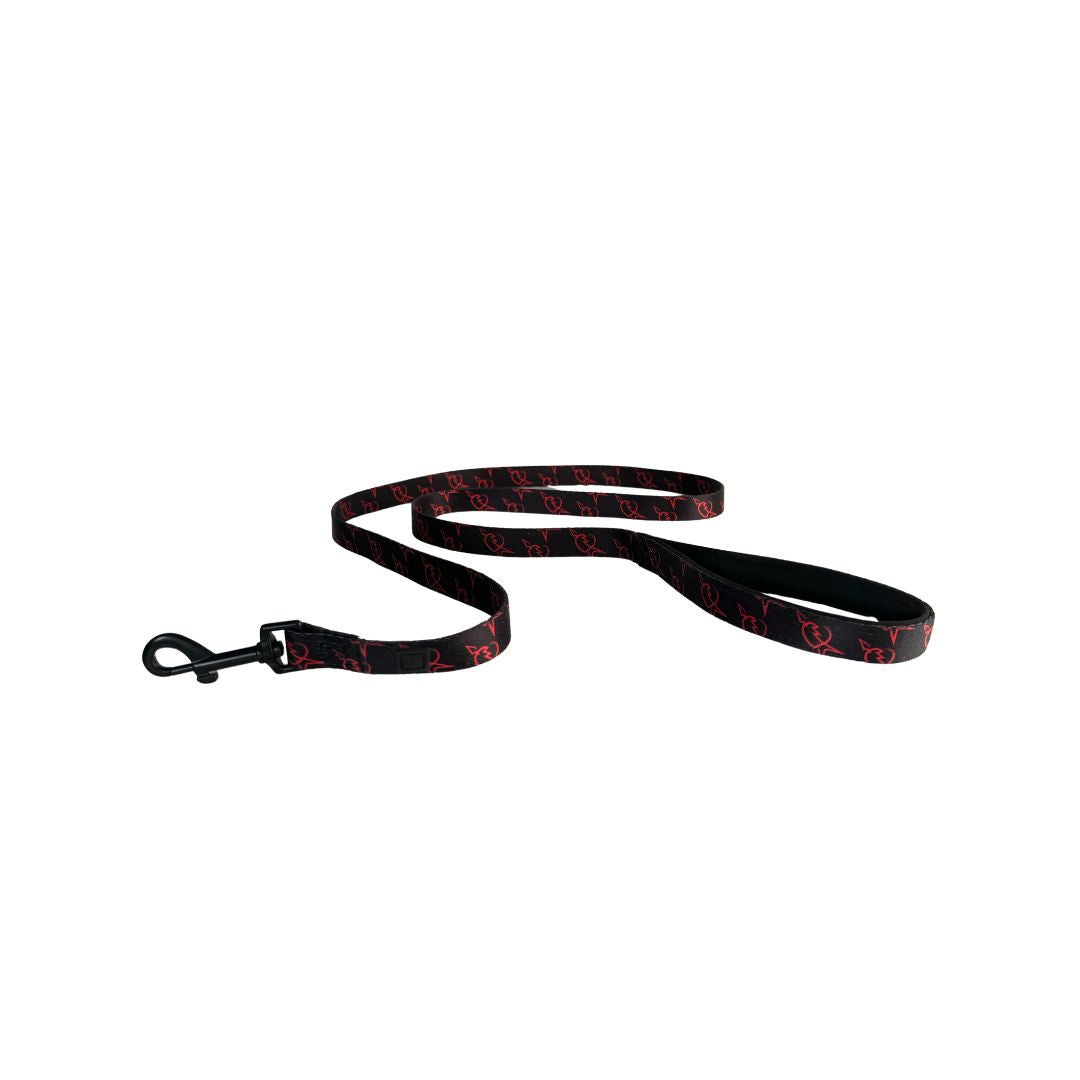 40th Anniversary Logo Dog Leash